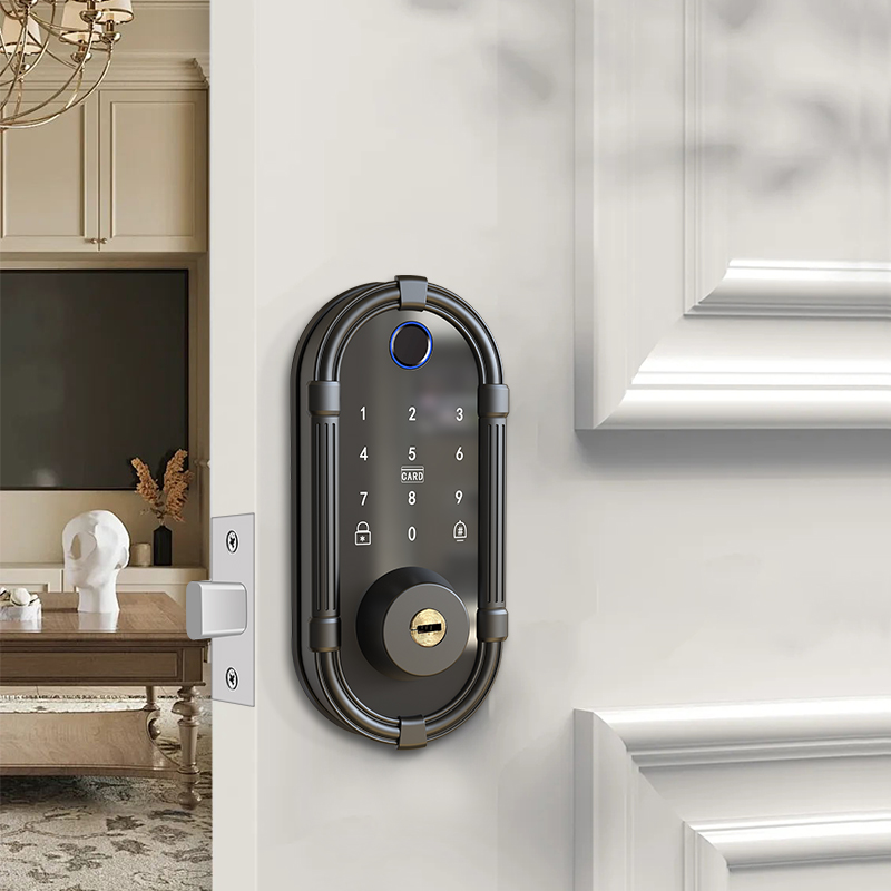 Kunci Pintu Biometrik Sidik Ja - Smart Door Lock Wifi ulasan dan harga