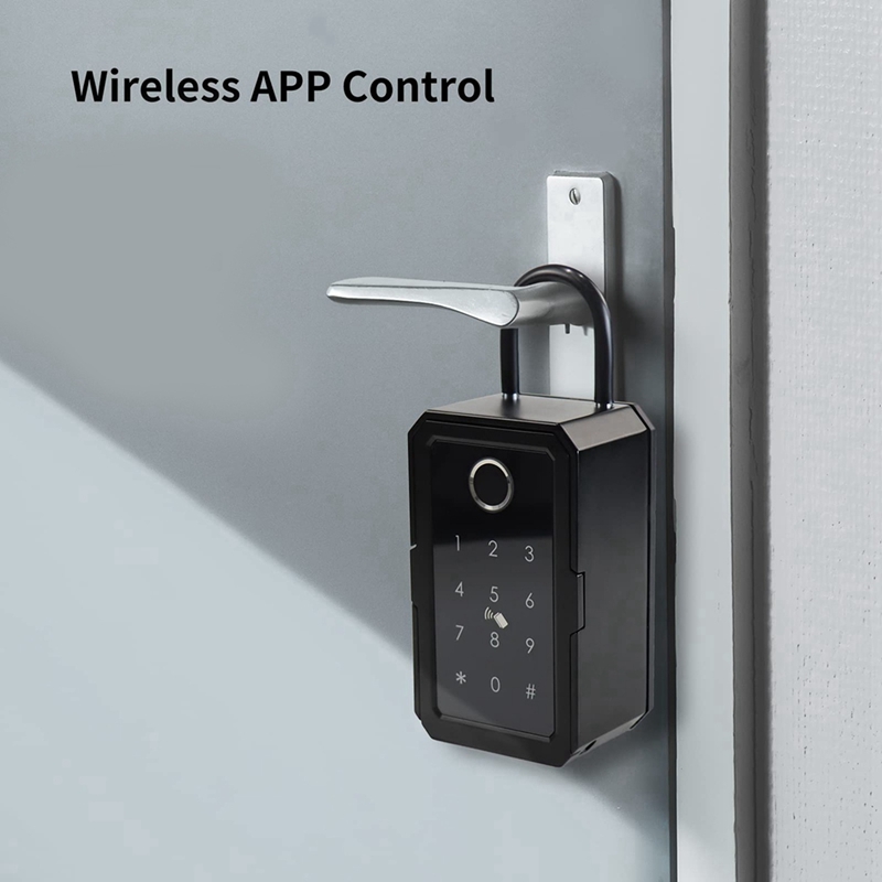 【Kue Panas】 10X Kotak Kunci Pi - Smart Door Lock Wifi ulasan dan harga